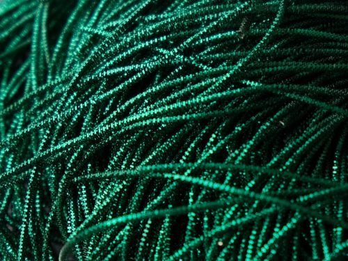 Faktūrinė minkšta kanitelė  1mm 10g (žalia) 415