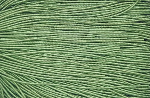 Faktūrinė minkšta kanitelė  2,1mm 10g (žalia) 718