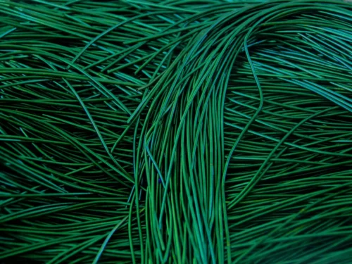 žalia kanitelė, green french wire